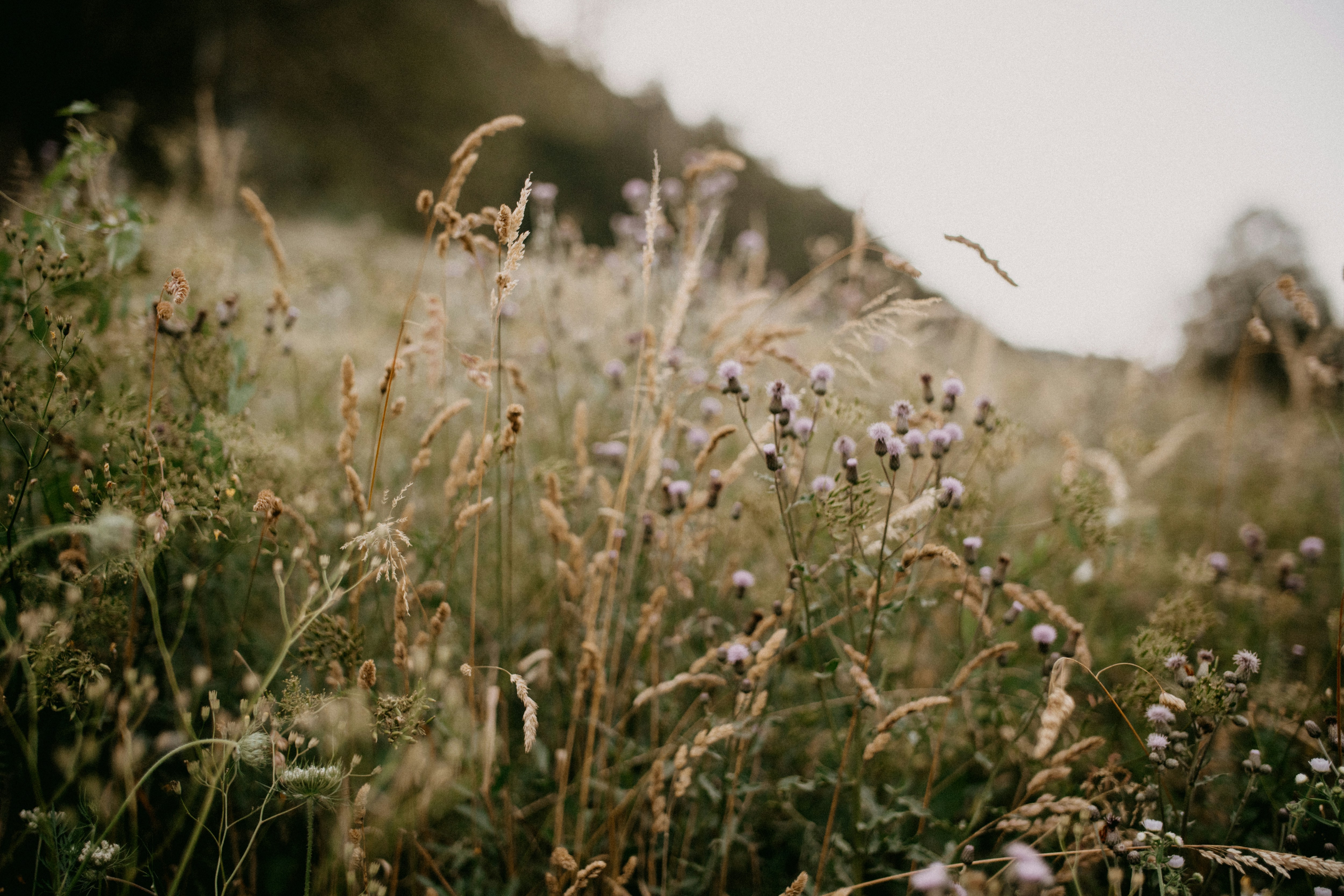 Photo by anniespratt