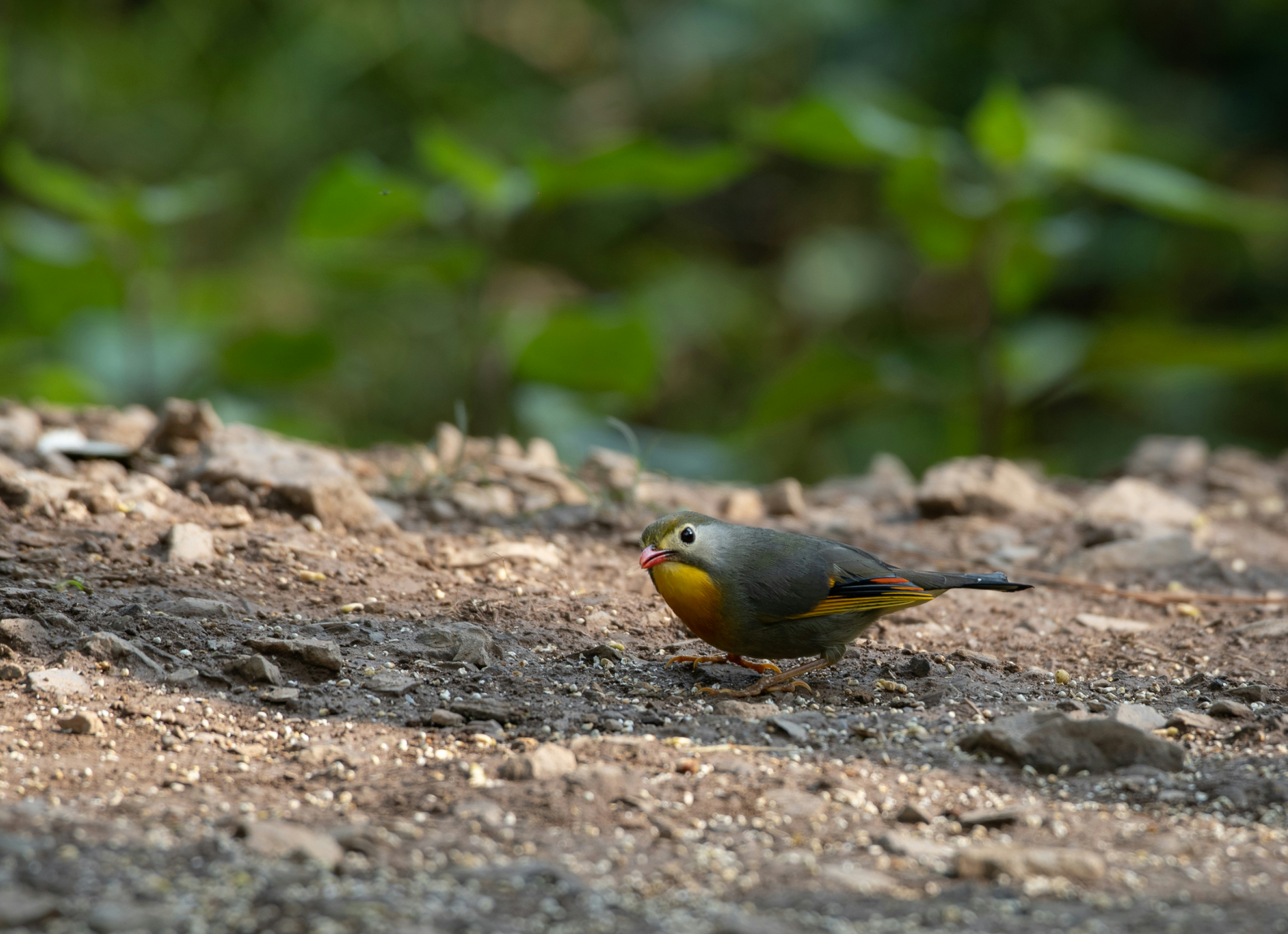 Photo by mhphotography13