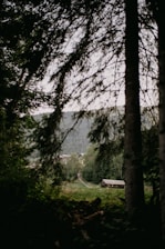 A serene forest landscape near Acre with indigenous community members crafting traditional artworks.