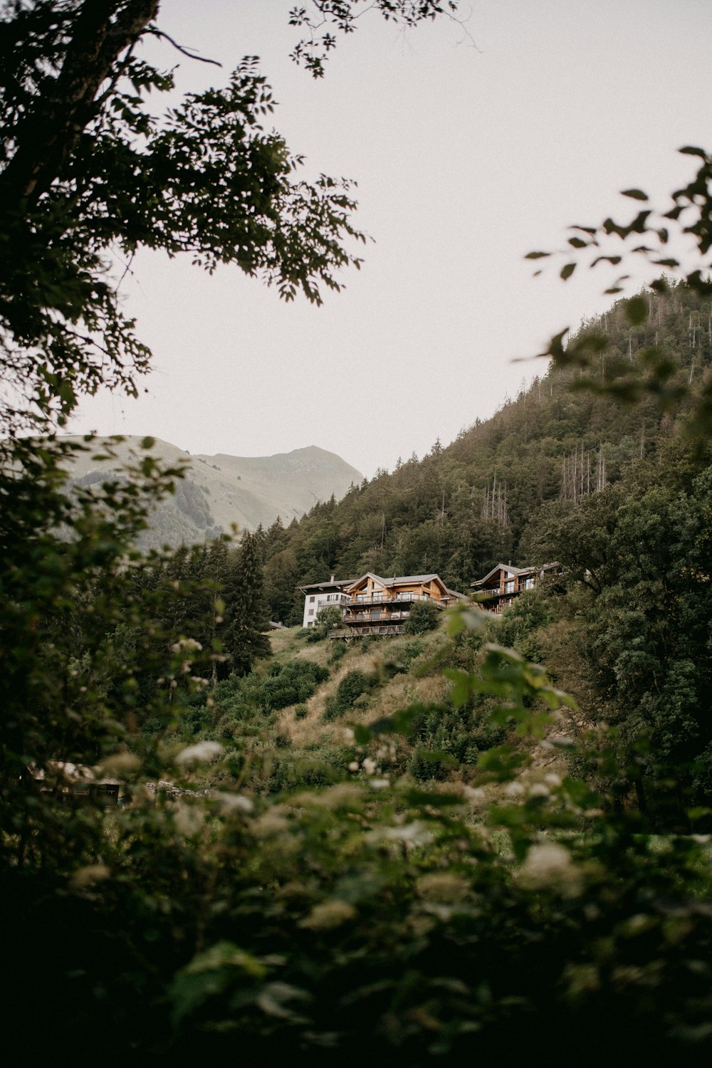 a house on a hill surrounded by trees