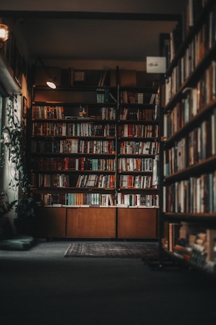A cozy library with tall wooden bookshelves filled with various books. Soft lighting creates a warm and inviting atmosphere, with a reading corner featuring a cushion and a small rug on the floor. Green plants add a touch of nature near the window.