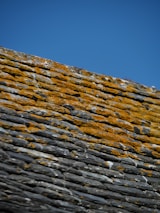 A close-up of a weathered slate roof covered with patches of yellow moss under a clear blue sky.