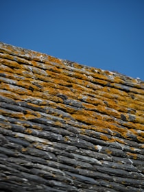 Close-up of a roofer repairing shingles on a residential roof under a clear sky.