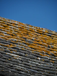 A skilled roofer carefully repairing a shingle on a residential roof under a clear blue sky.
