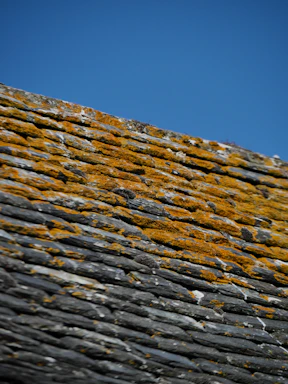 Close-up of a professional roofer inspecting shingles on a residential roof under clear skies.