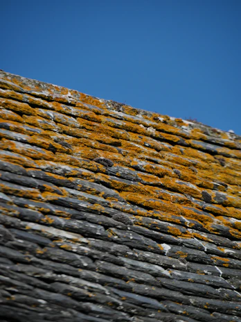 Close-up of moss being carefully removed from a weathered roof under a cloudy sky.