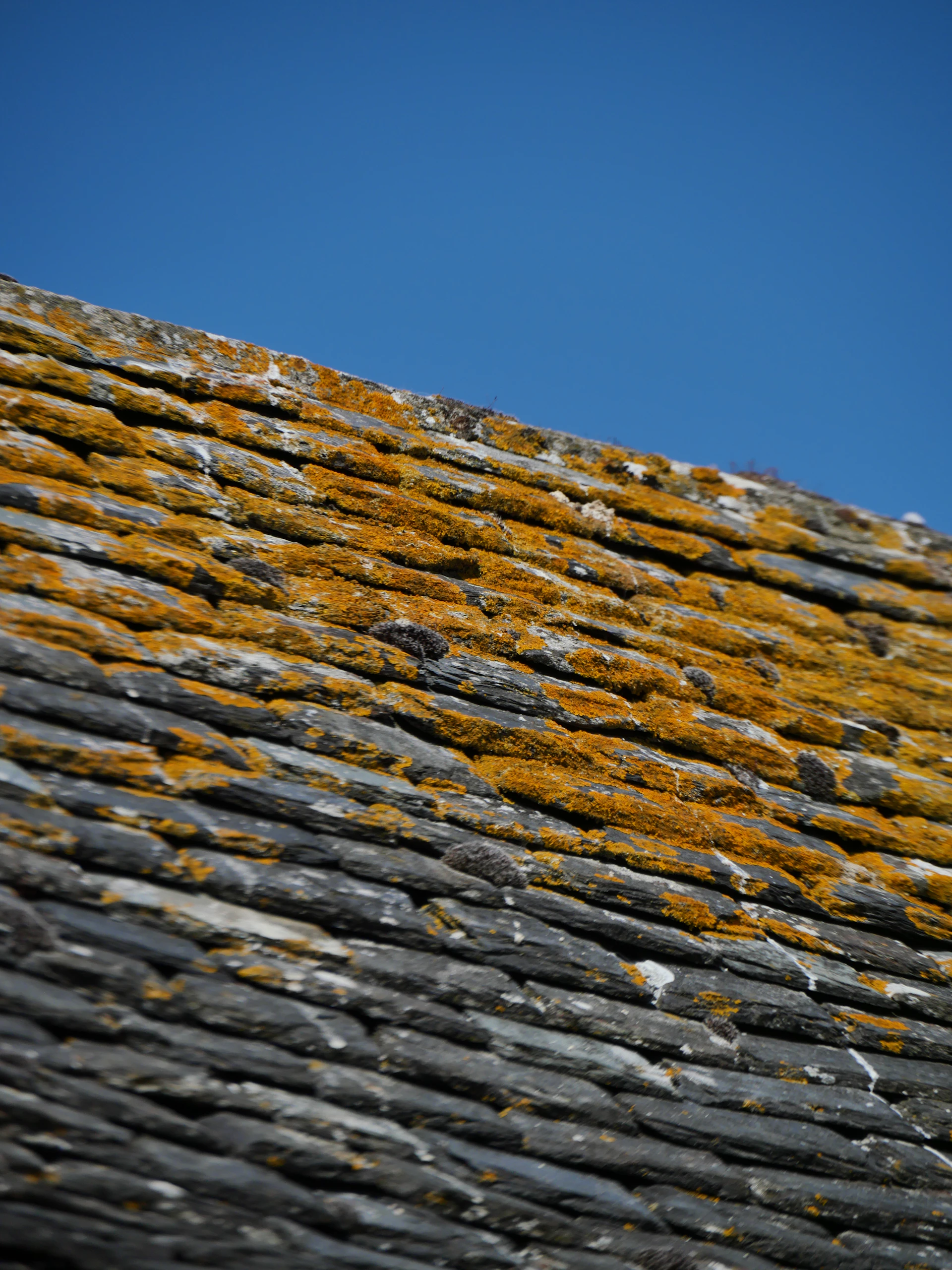 Before — roof slate tiles with moss and organic staining