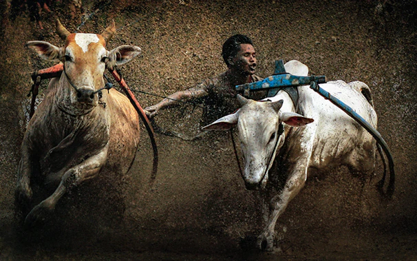 Close-up of a runner's determined face during the thrilling encierro (running of the bulls).