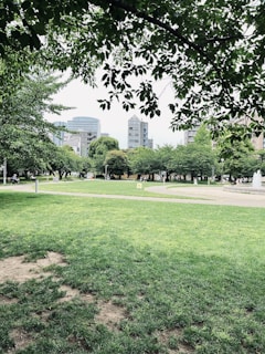 A lush green park with well-maintained grass and a few paved pathways. Tall trees with dense foliage provide shade, and city buildings can be seen in the background. Overhead, branches and leaves of a tree frame the upper part of the scene.
