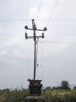 A utility pole stands in a field, equipped with multiple wires and electrical components. The background shows a cloudy sky and lush green vegetation. The setting appears rural, with distant trees and open space.