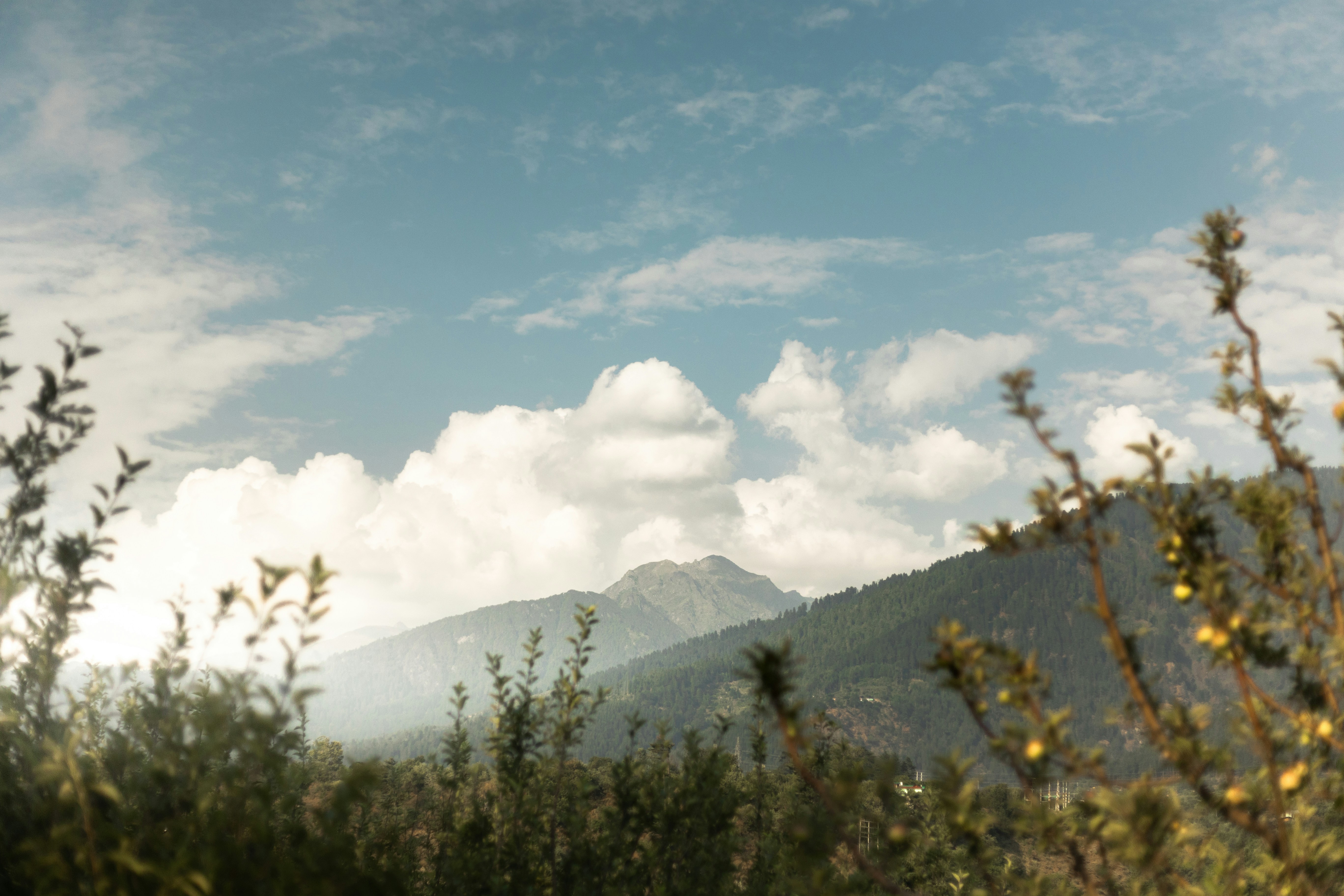 Photo by adnan_saifeee