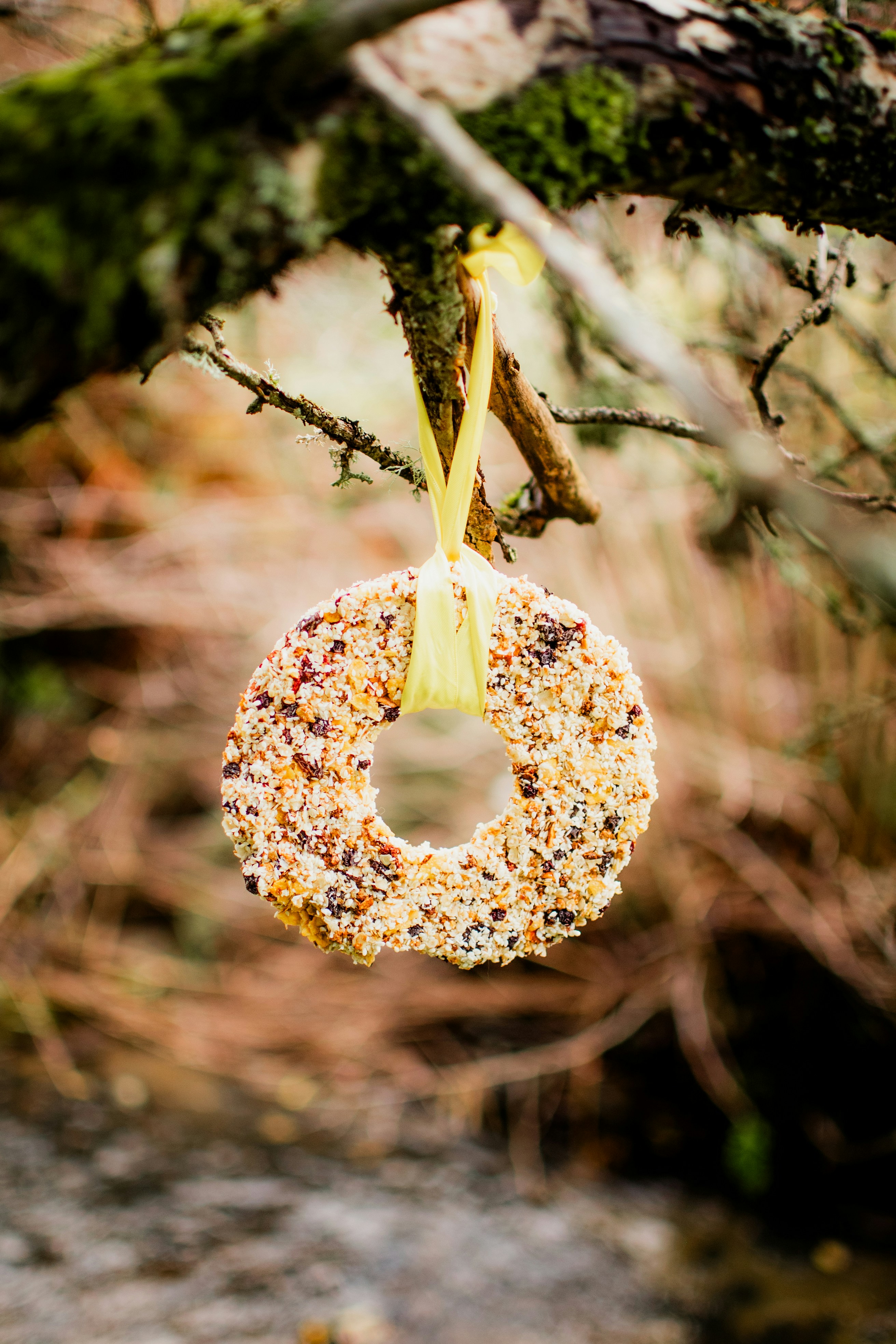 Understanding Bird Nutritional Needs