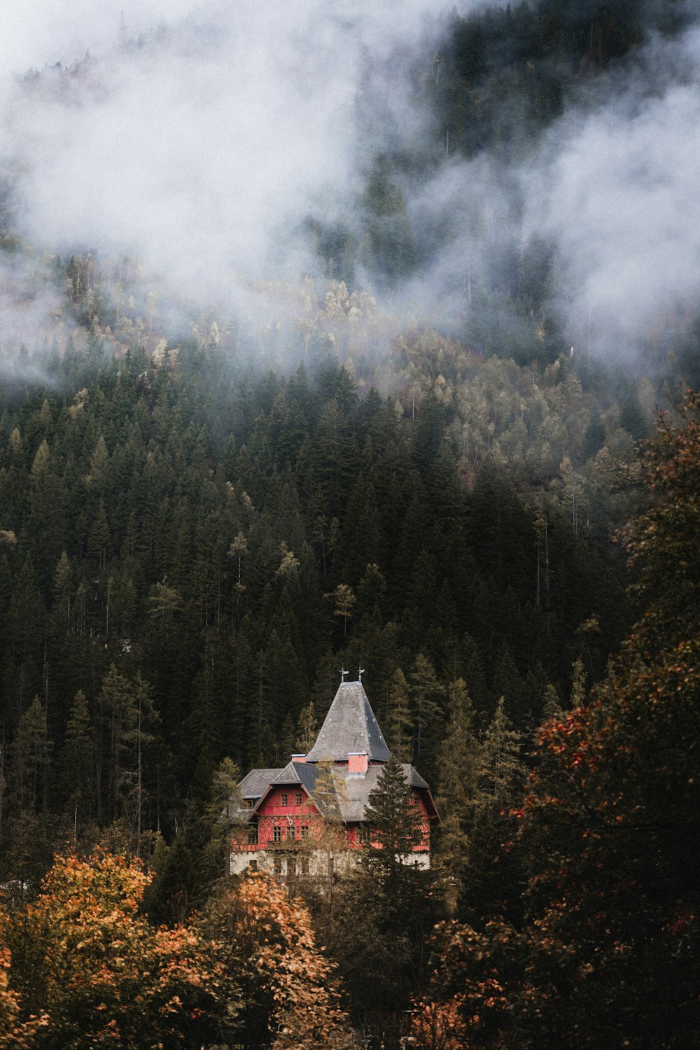 a house in the middle of a forest surrounded by fog