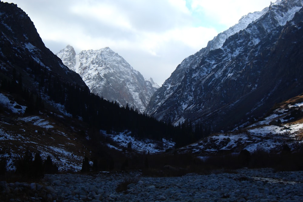 the mountains are covered in snow and trees