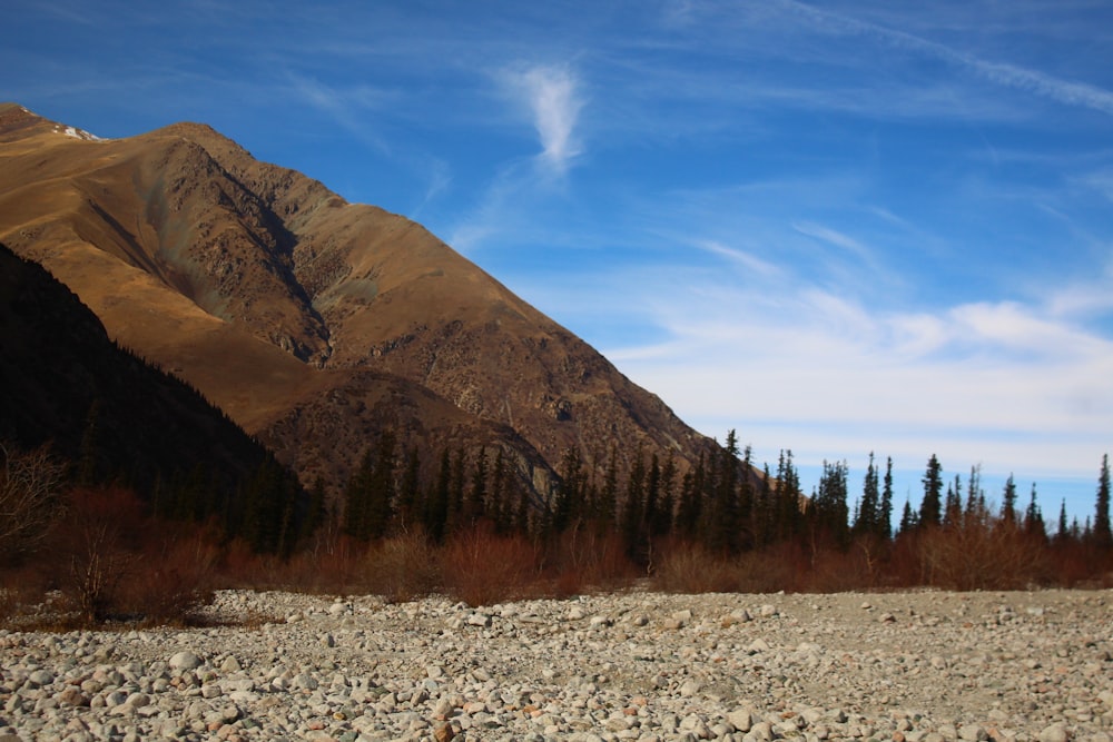 a rocky area with trees and mountains in the background