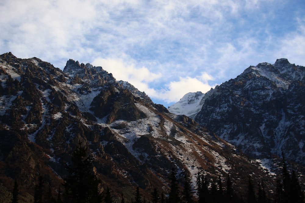 a snow covered mountain with trees in the foreground