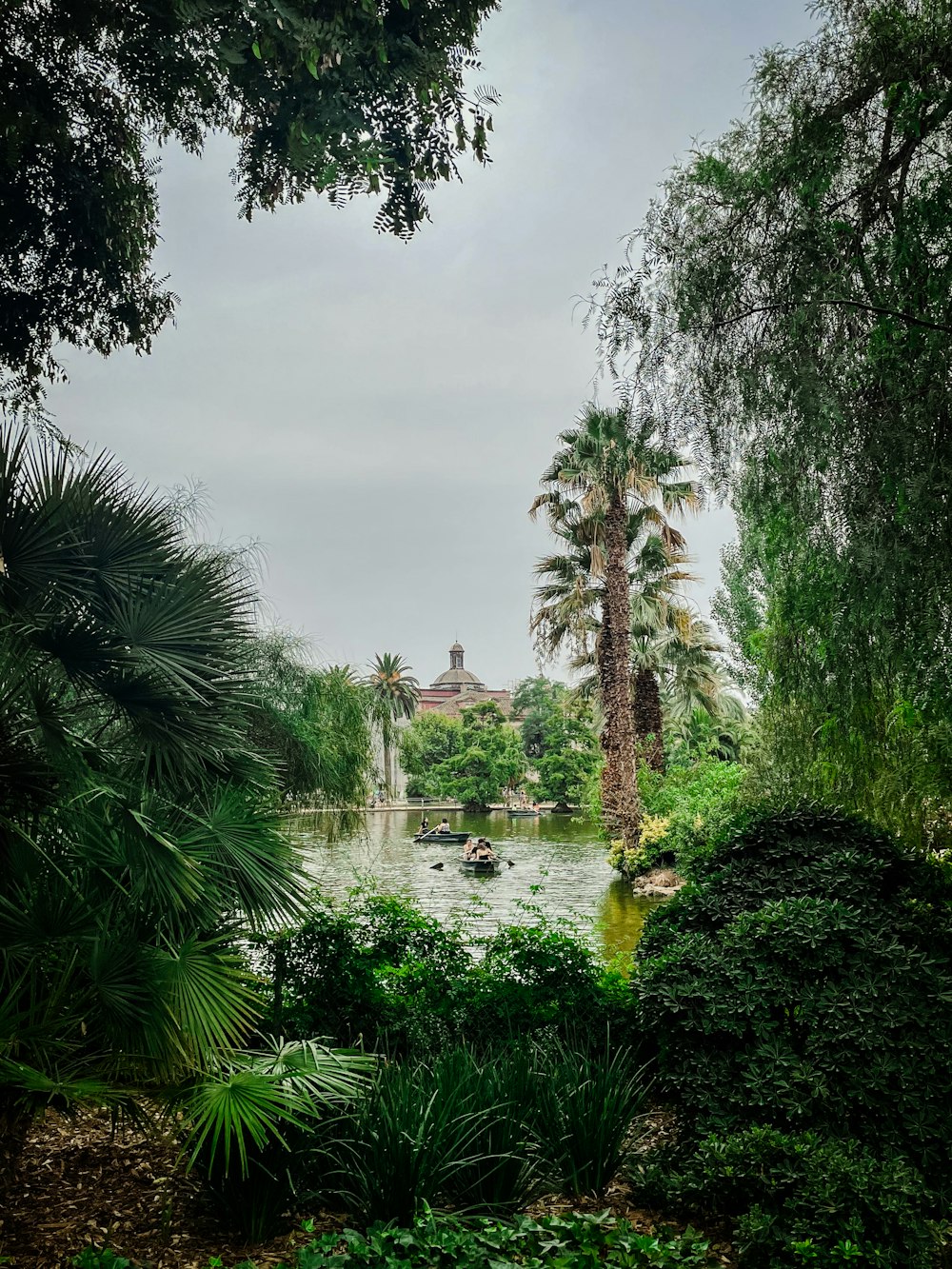a pond surrounded by palm trees and greenery