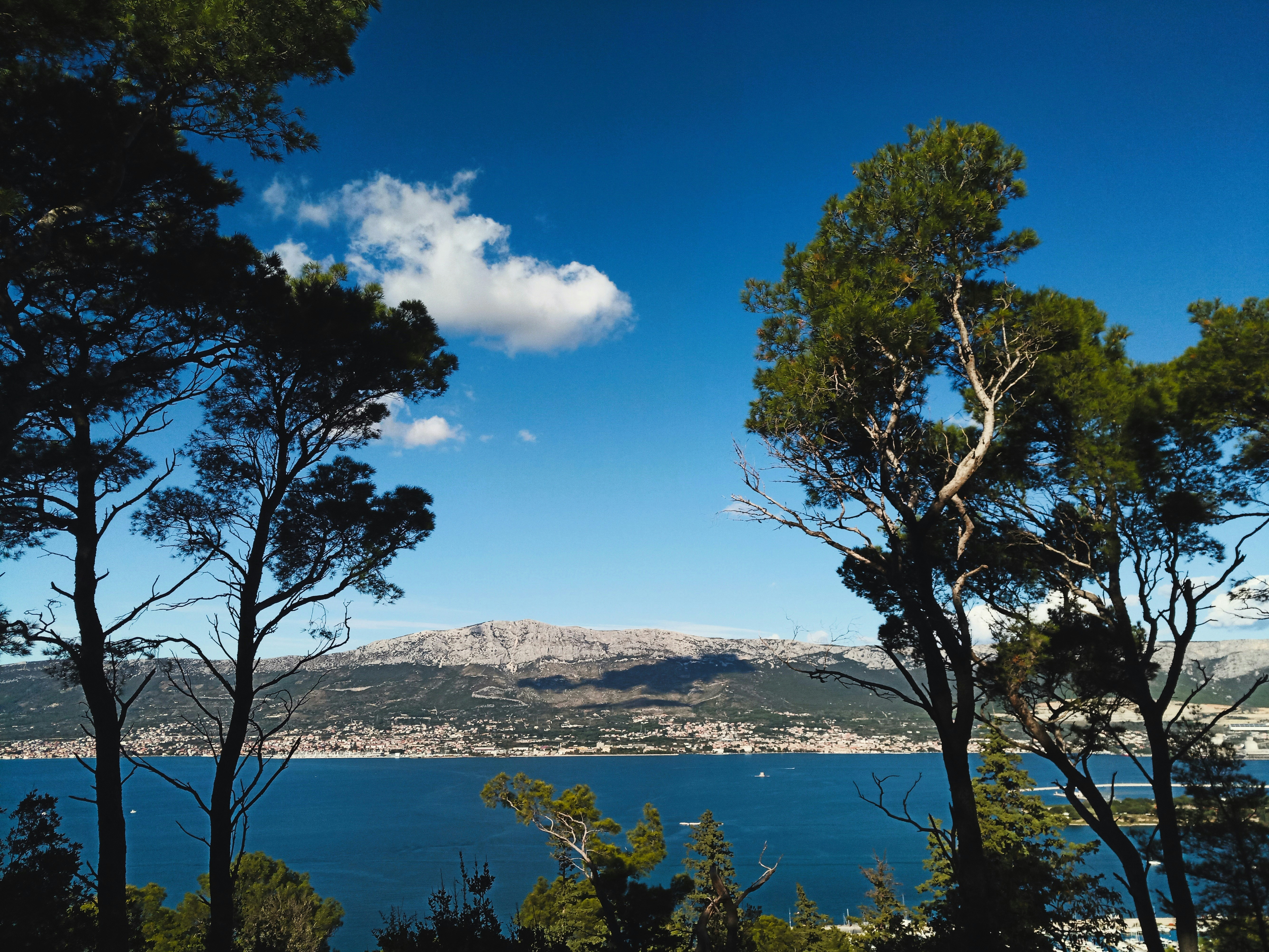 Photo by dominapetric