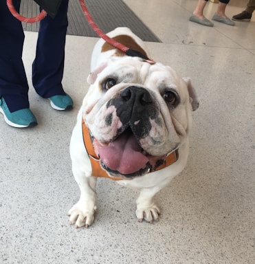 A friendly team member from Bulldog Septic ready to assist customers.