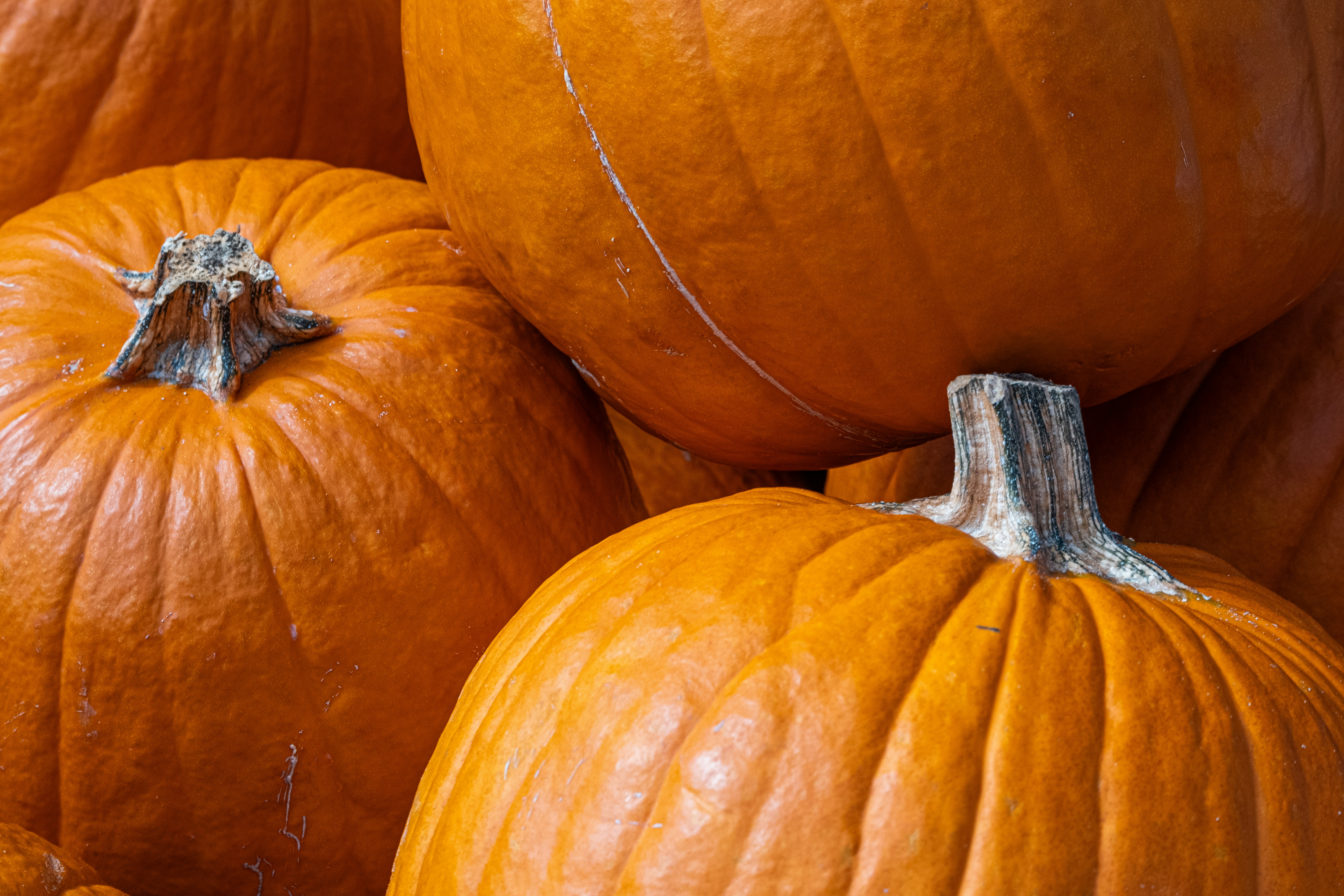 Photo by cestmoisheedy