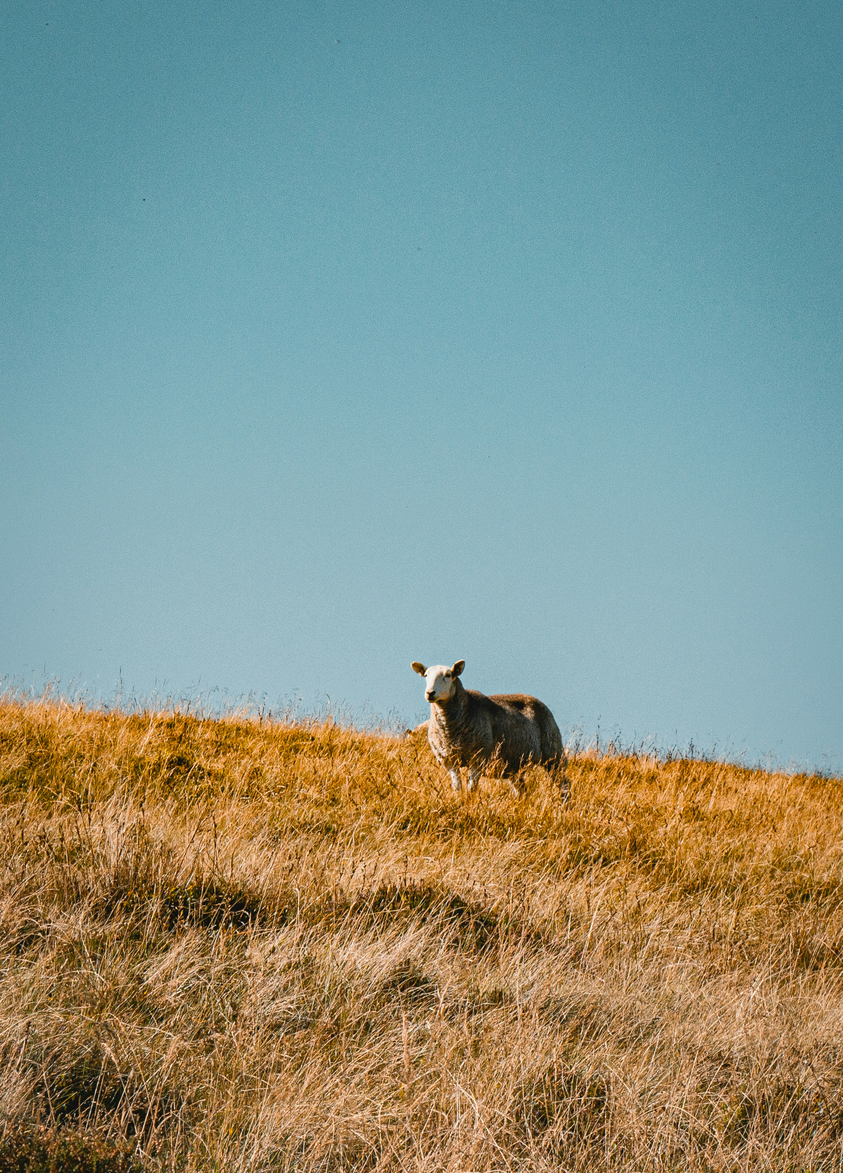 Photo by itsaroadmap