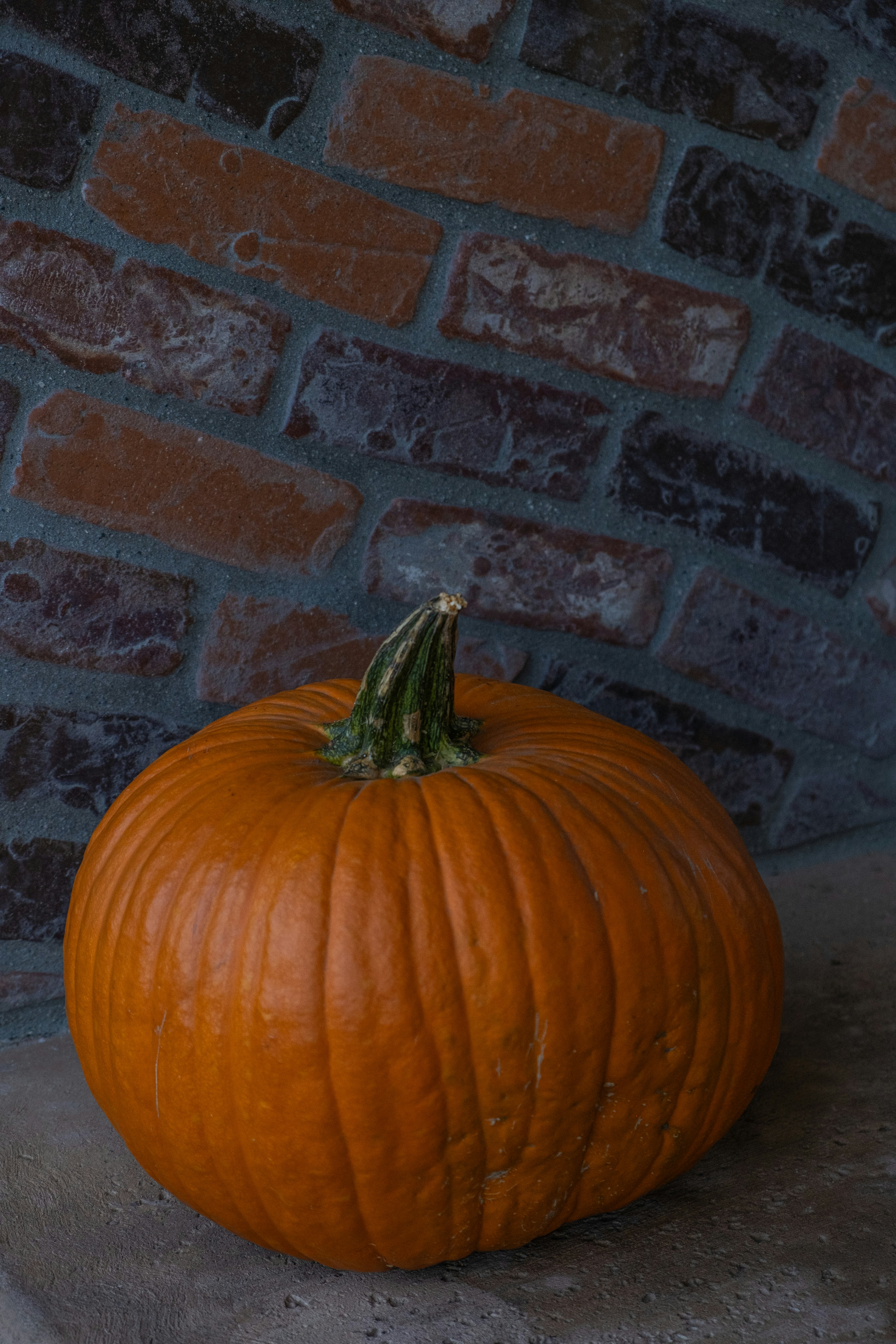 Photo by cestmoisheedy