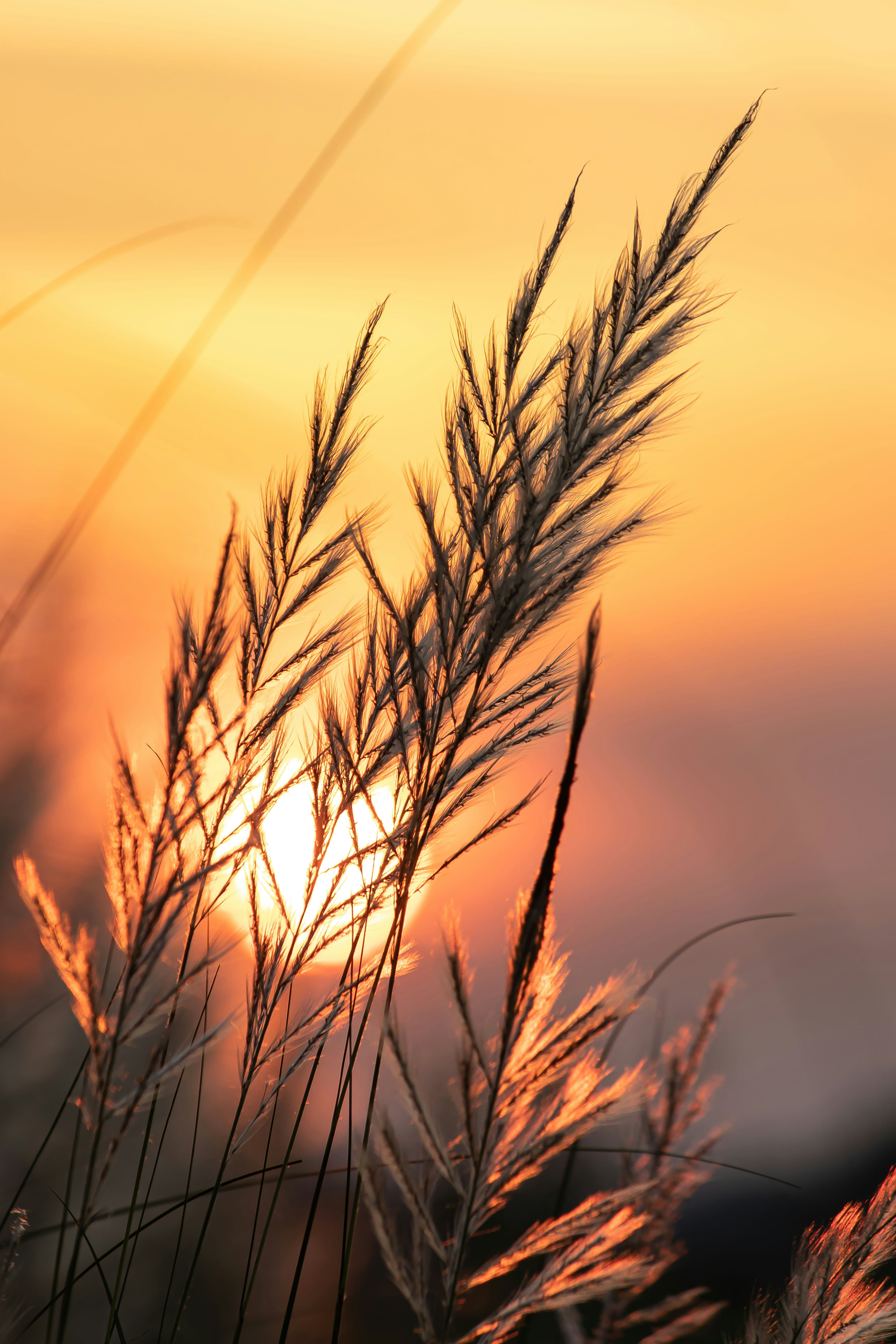 Photo by abhinawraj911