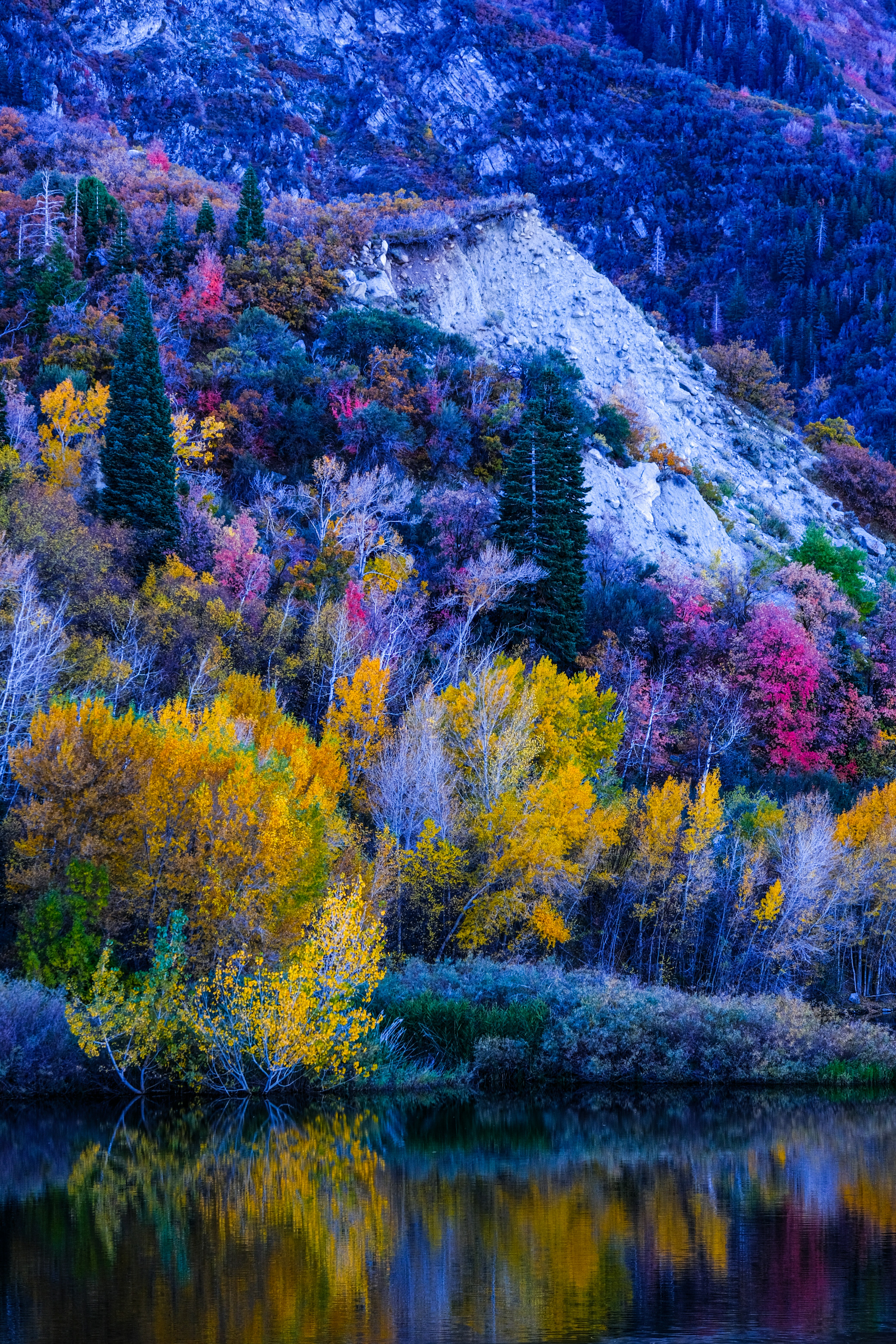 A mountain with a lake surrounded by trees photo Free Lower bell