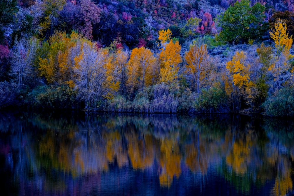 a body of water surrounded by colorful trees