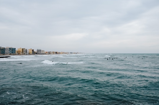 A coastal scene with several surfers out in the ocean, catching waves. In the background, a series of mid-rise buildings line the shore under an overcast sky.