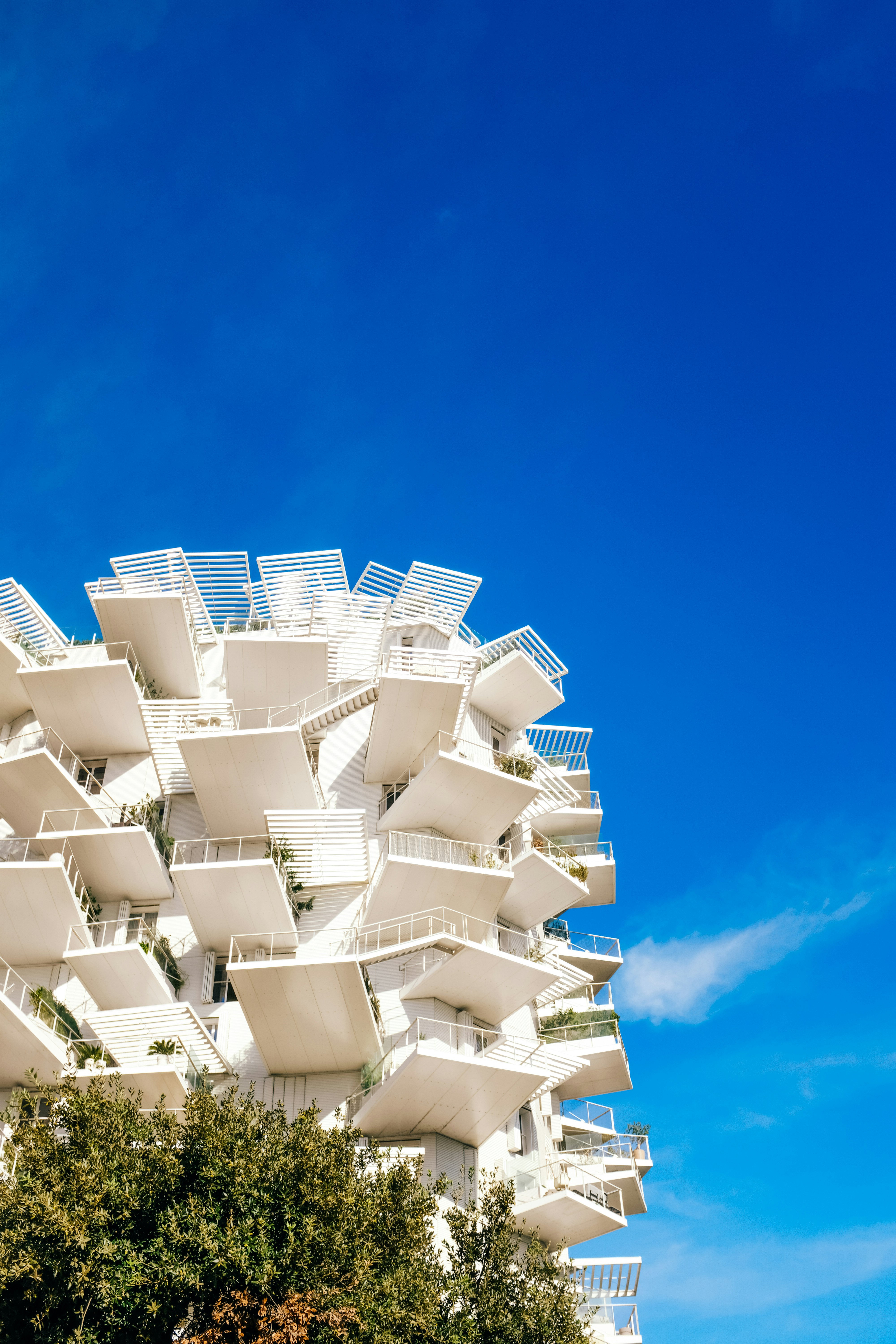 Photo by adrienolichon