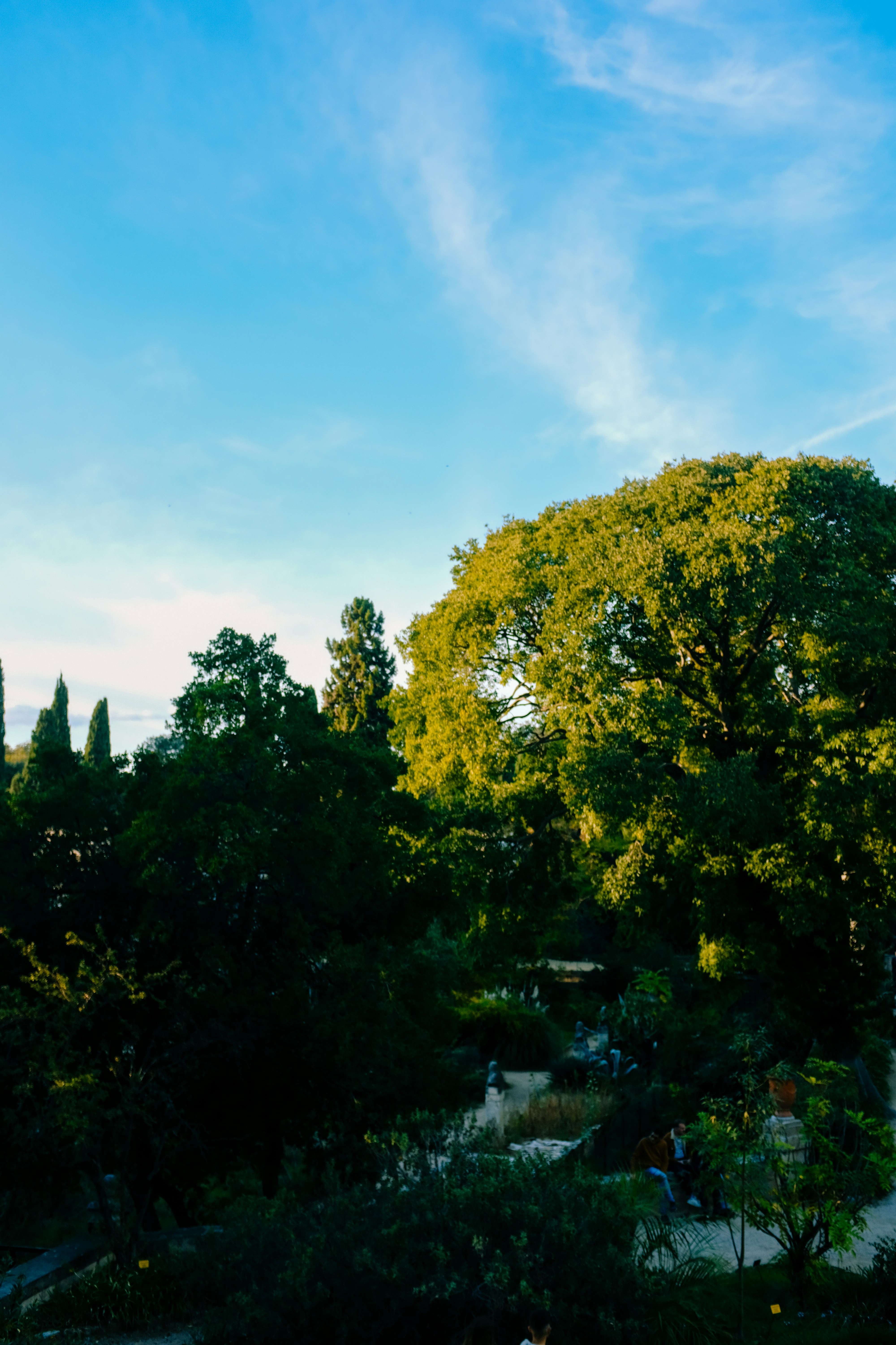 Photo by adrienolichon