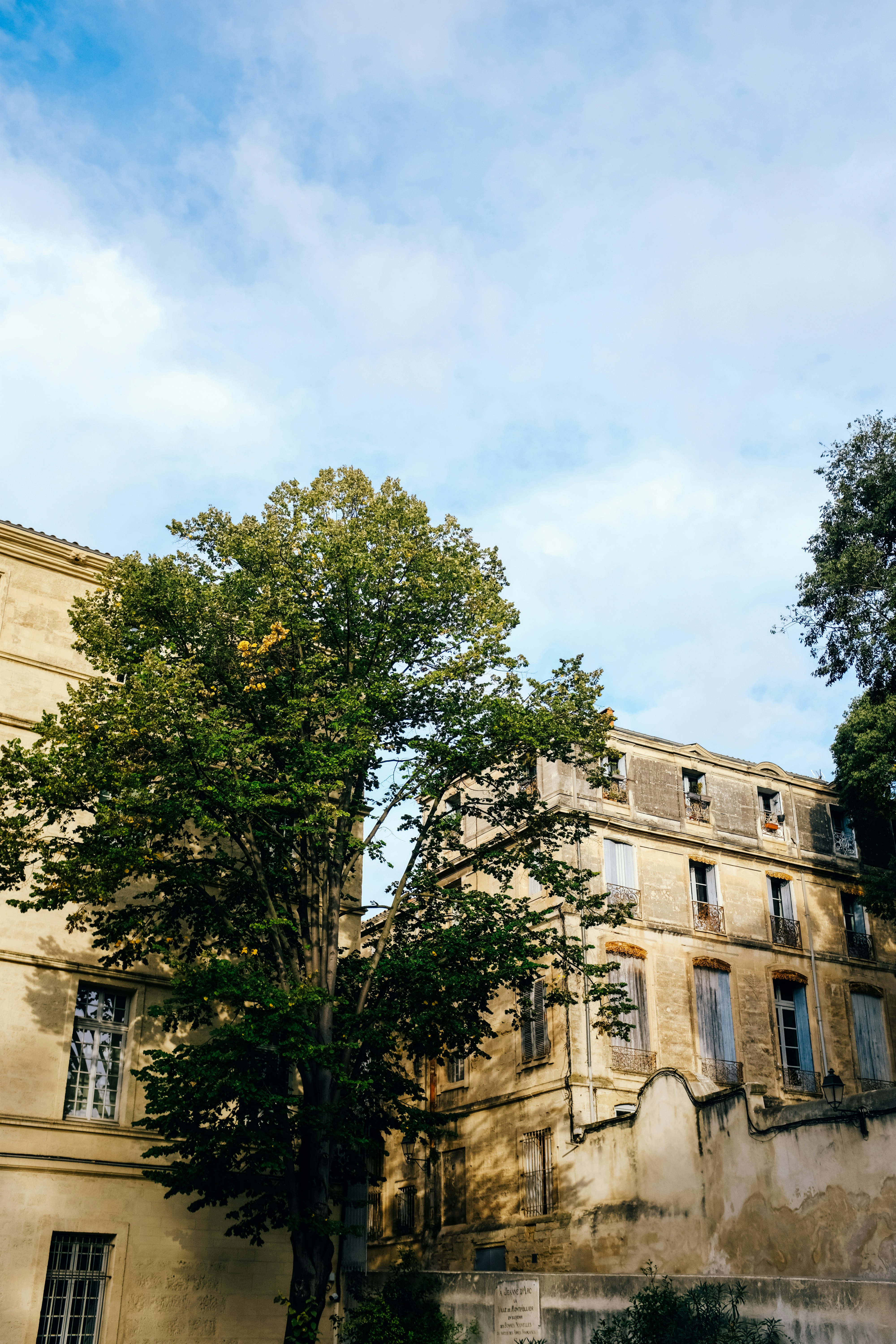 Photo by adrienolichon