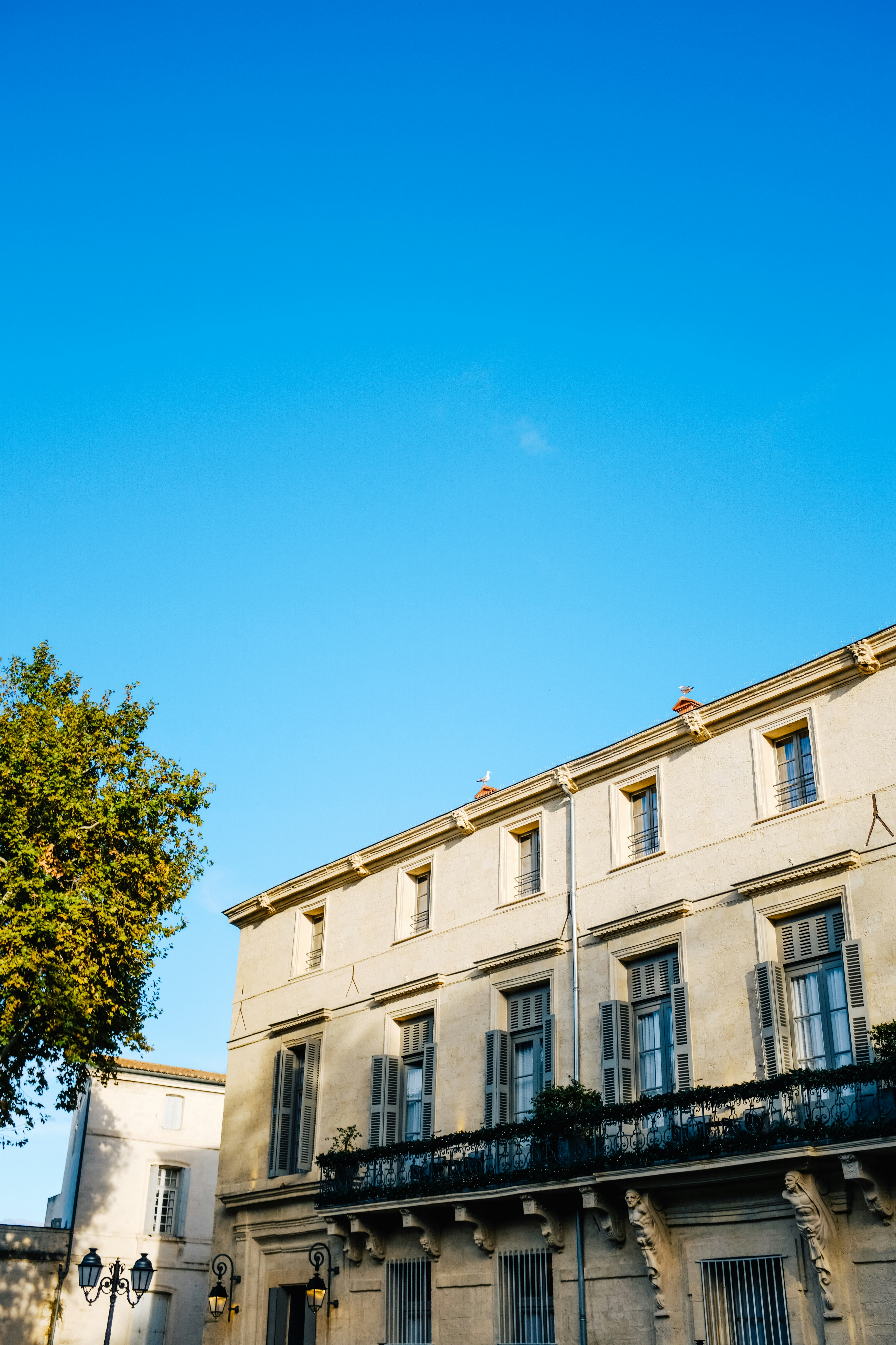 Photo by adrienolichon