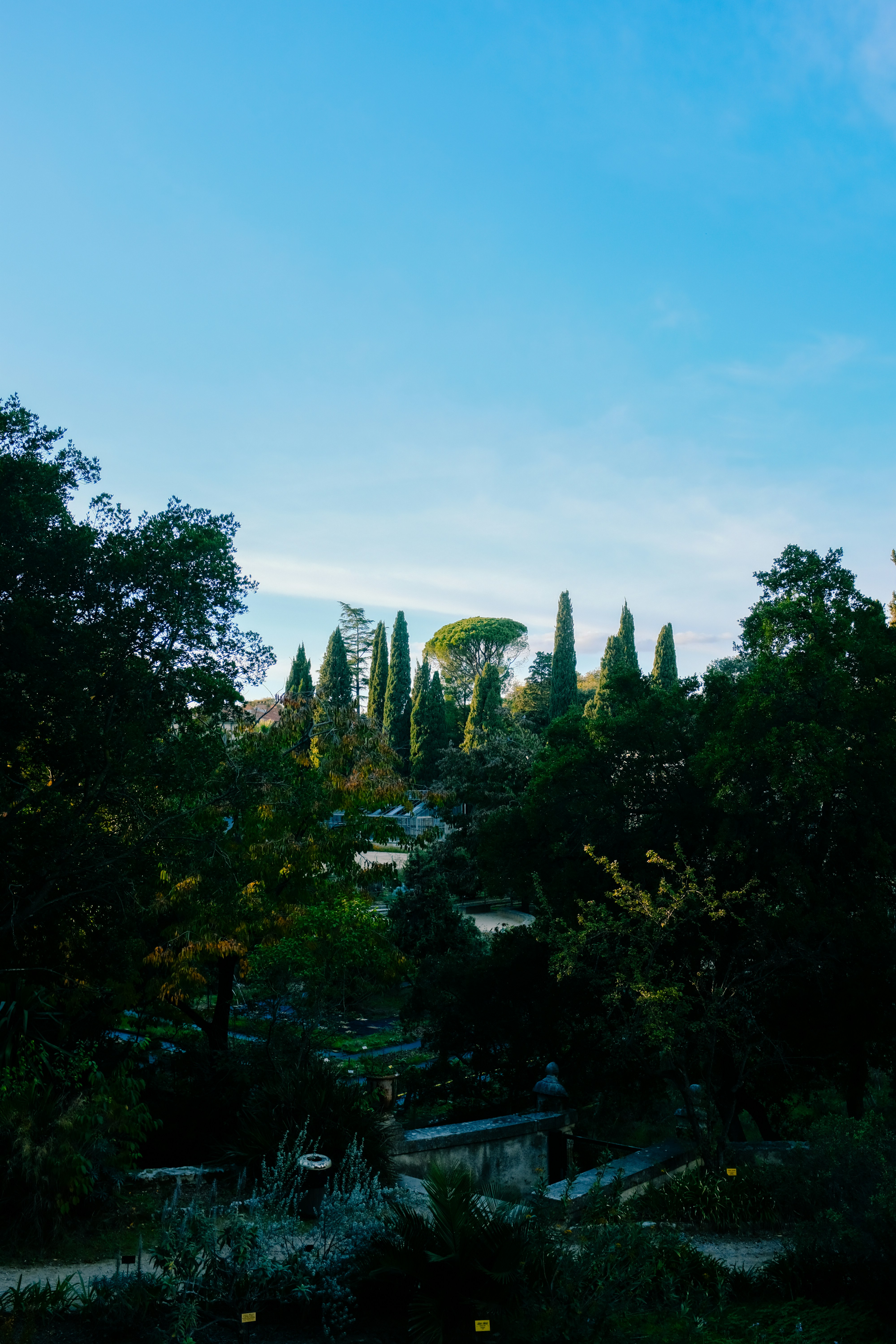 Photo by adrienolichon