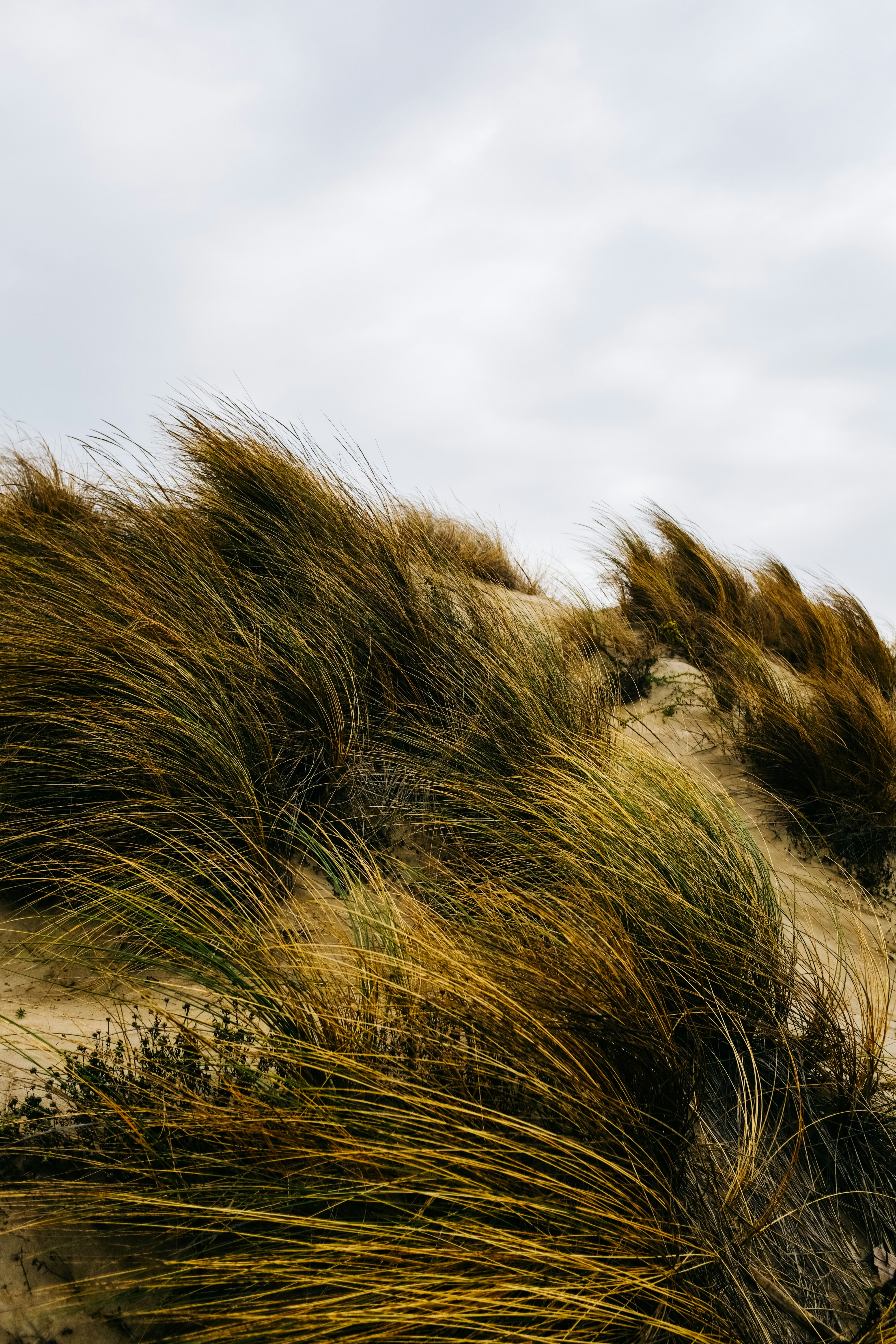 Photo by adrienolichon