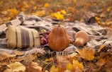 A cozy fall scene featuring layered clothing and accessories.