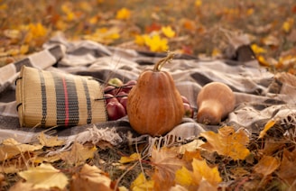A cozy autumn scene featuring a blanket spread on the ground, surrounded by fallen yellow leaves. On the blanket, there are pumpkins and a woven basket, creating a rustic and seasonal atmosphere.