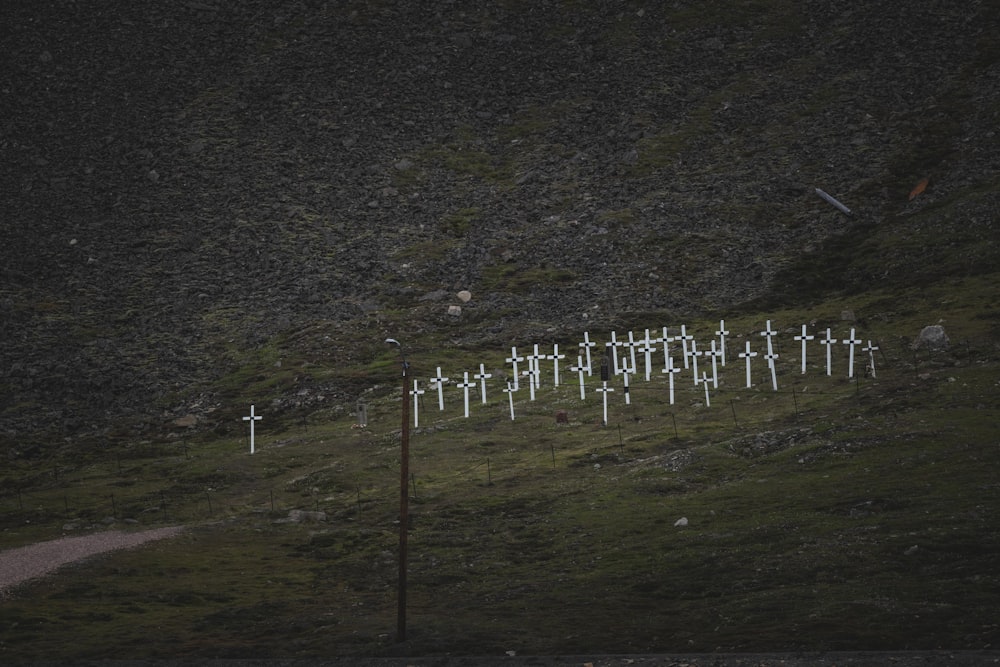 a group of crosses sitting on top of a lush green hillside