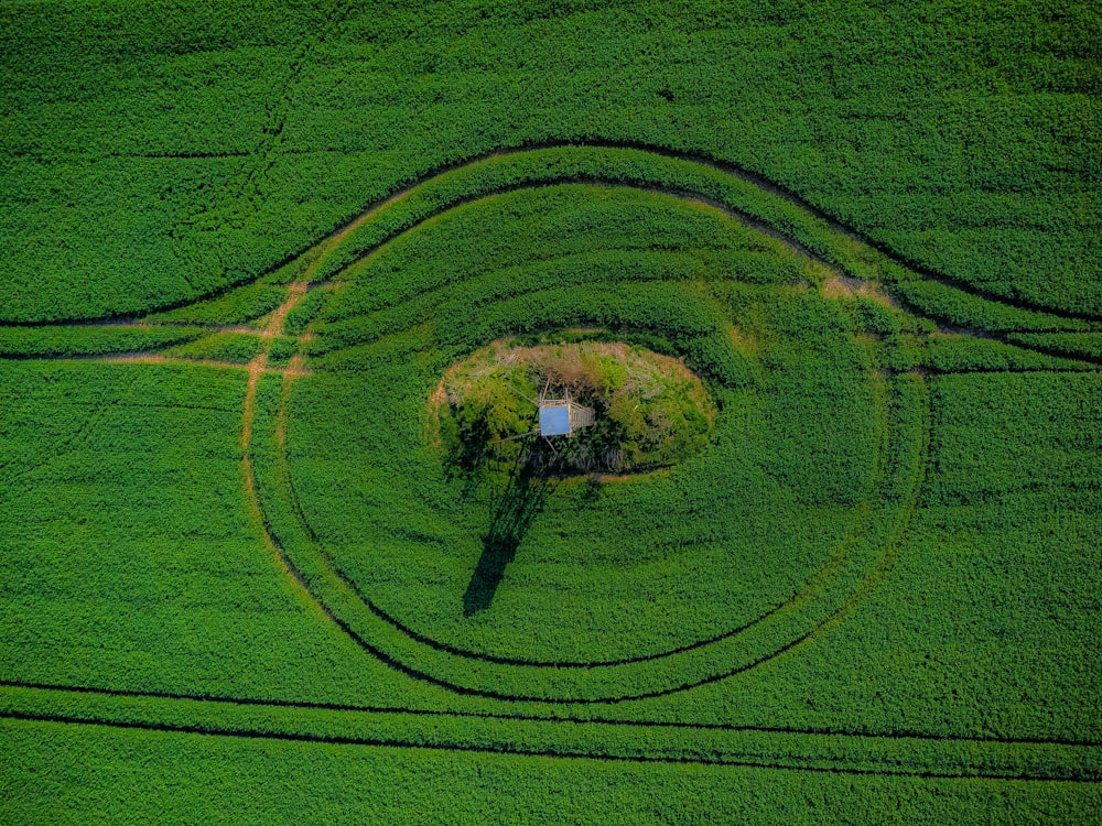 Una veduta aerea di un campo verde con una casa al centro