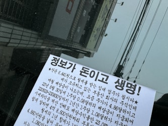 The Art of Translating Korean Lyrics and Film: A Cultural Journey