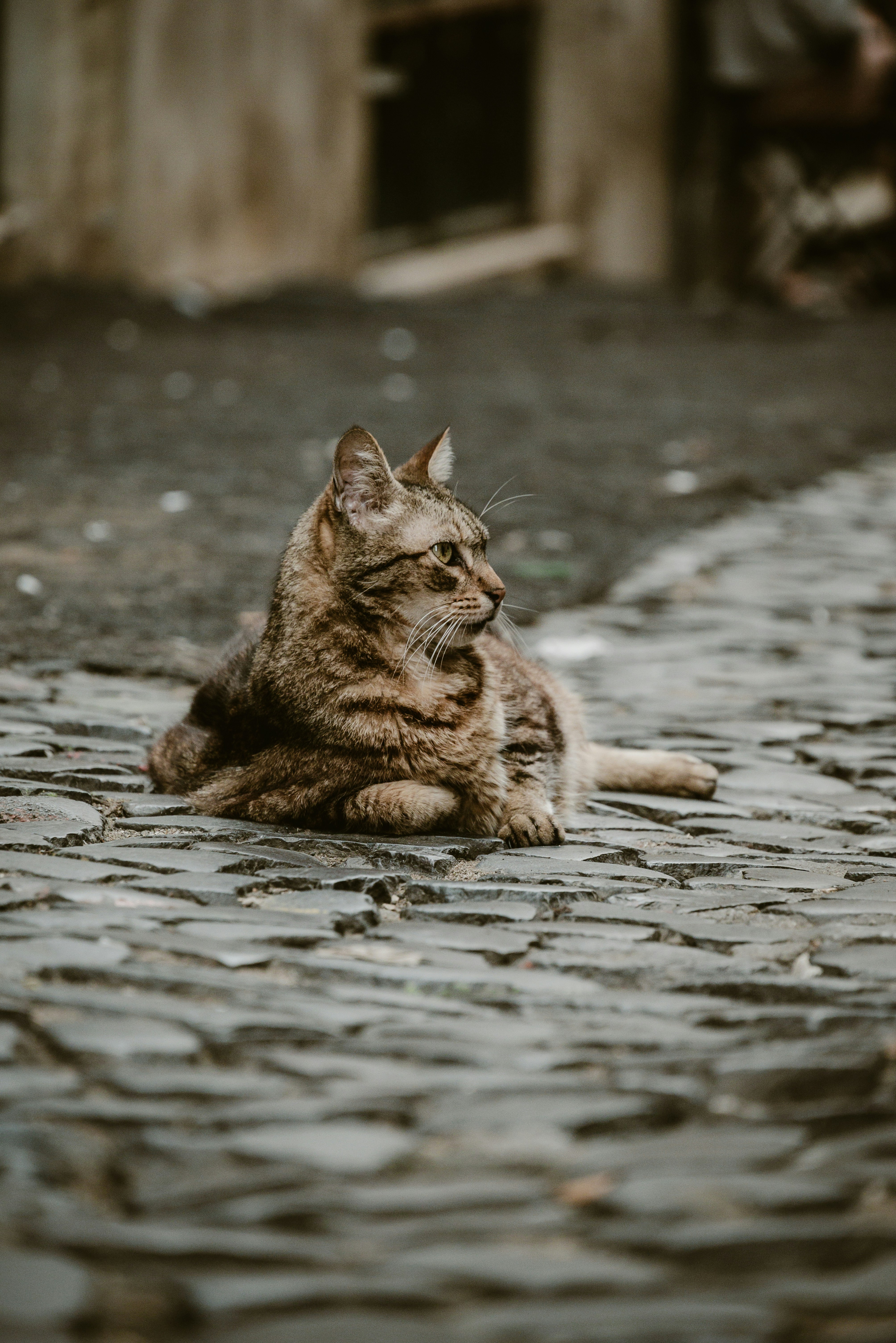 Photo by agataciosek