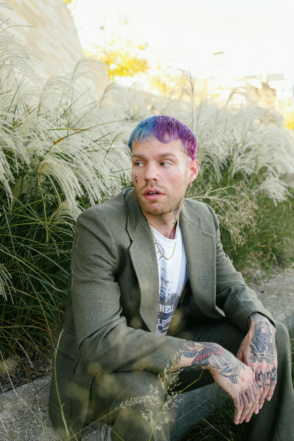 a man with purple hair sitting in a field