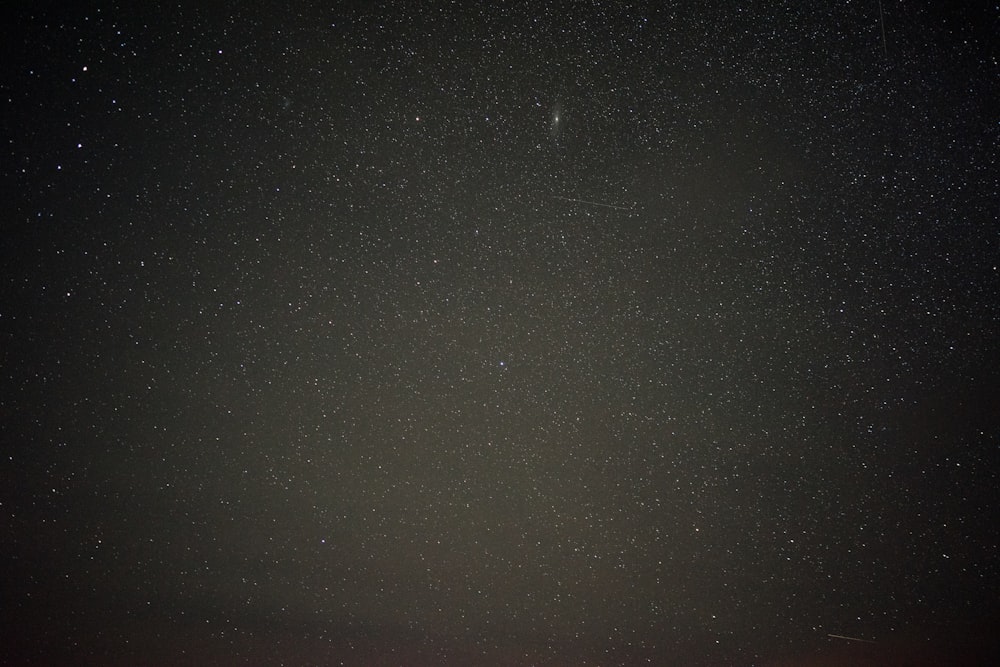 the night sky with stars above a field