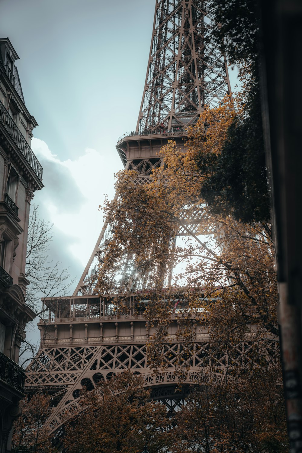 the eiffel tower towering over the city of paris