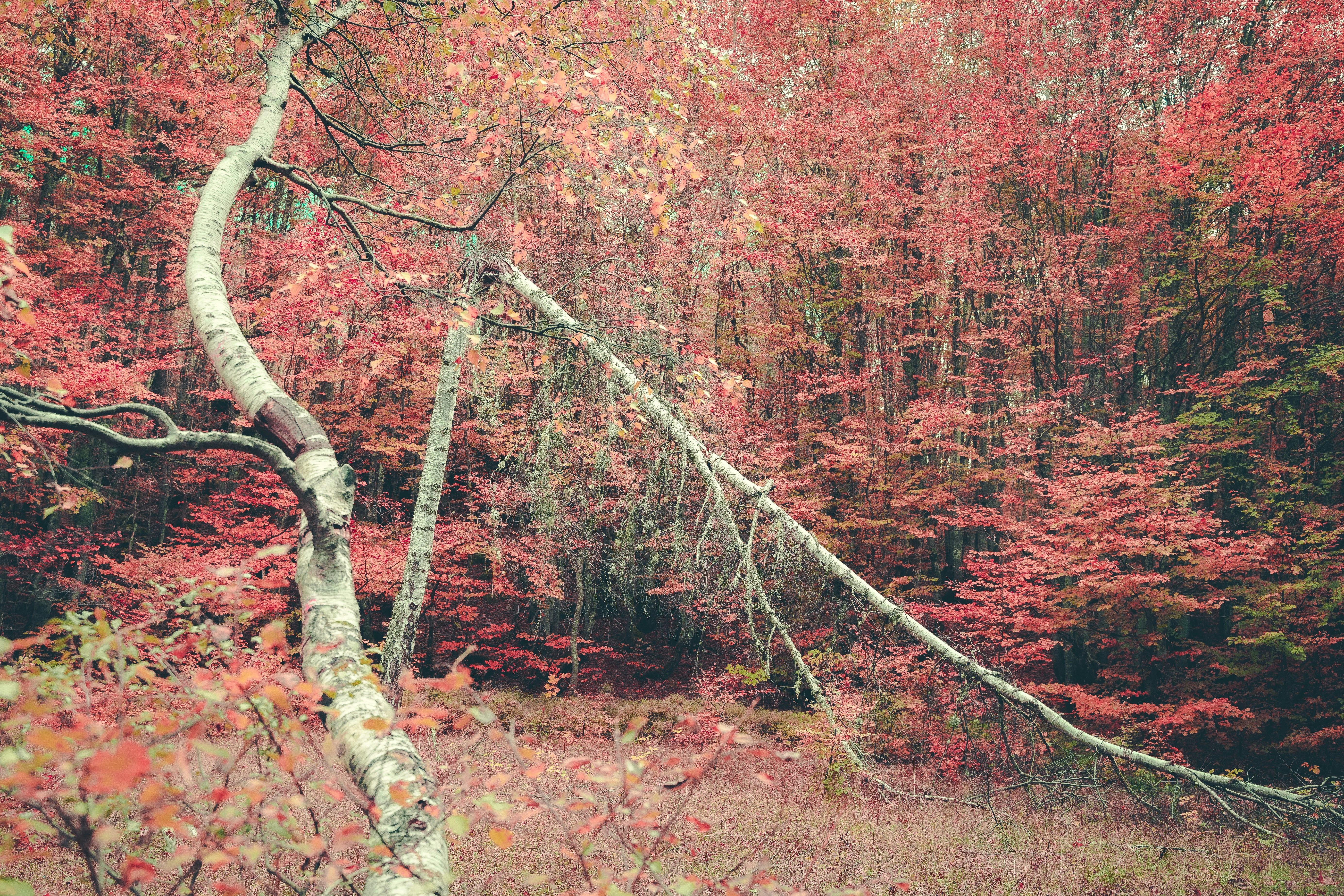 Photo by cameron_visuals