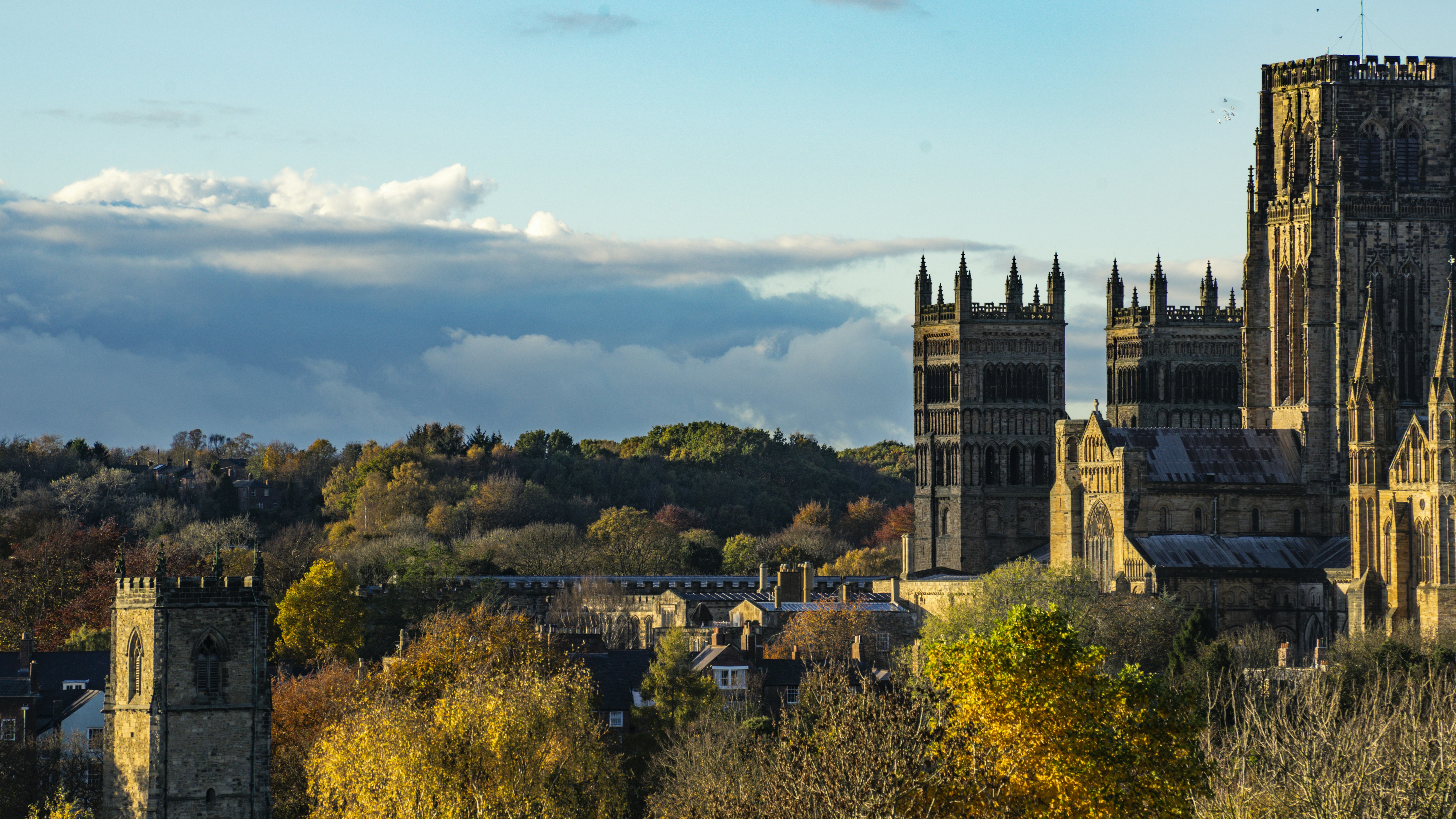 a view of a city with a castle in the background