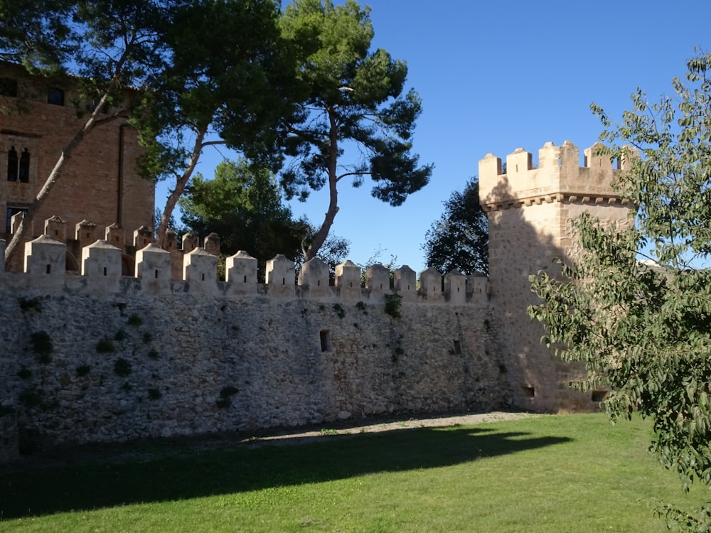 a stone wall with a tree in front of it