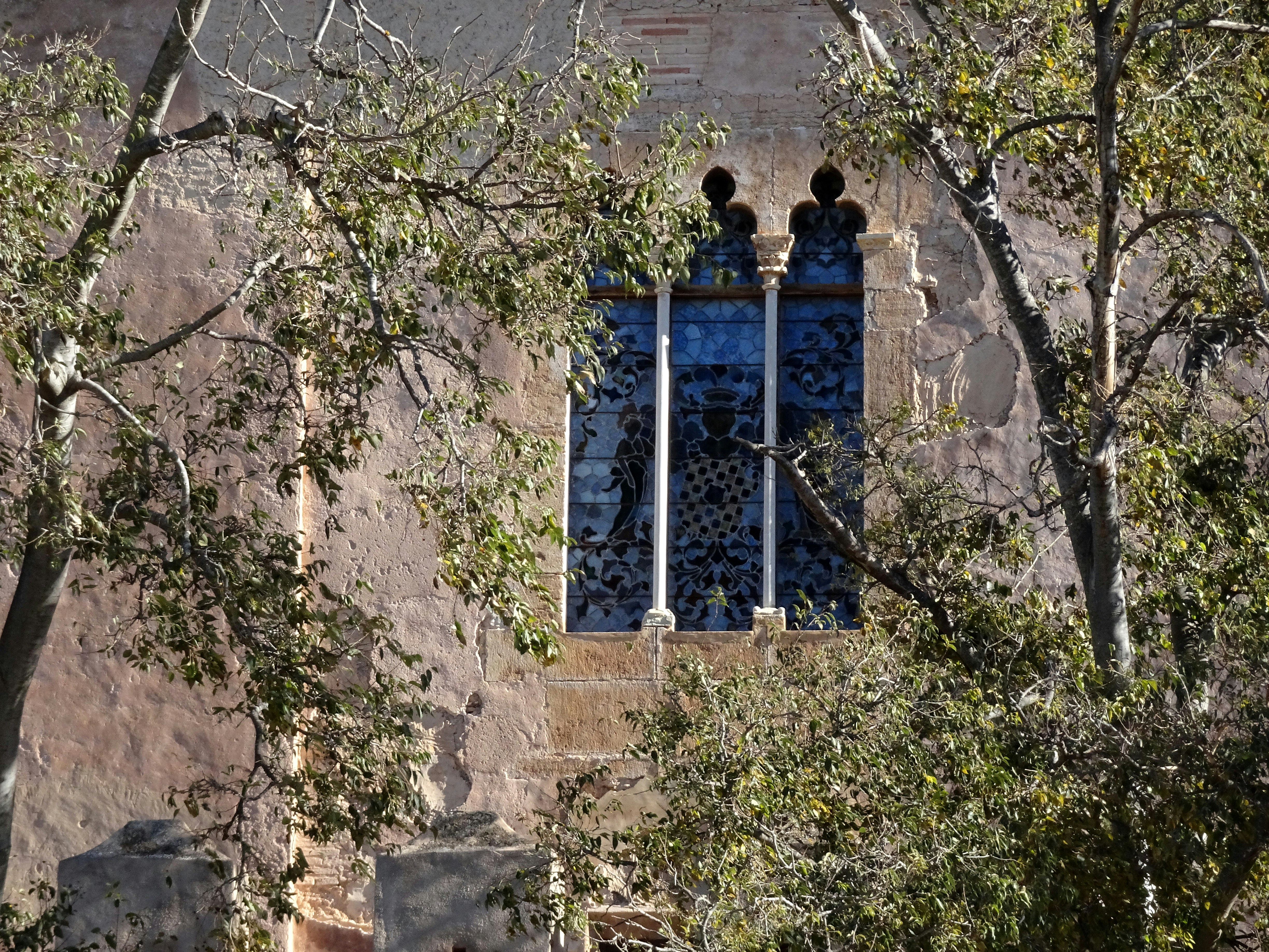 Photo by ludovico_06