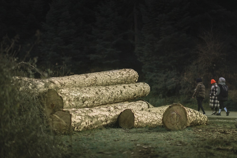 a group of people walking past a pile of logs